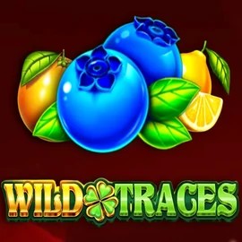 Play the Wild Traces slot by Amusnet Interactive on Weiss Casino